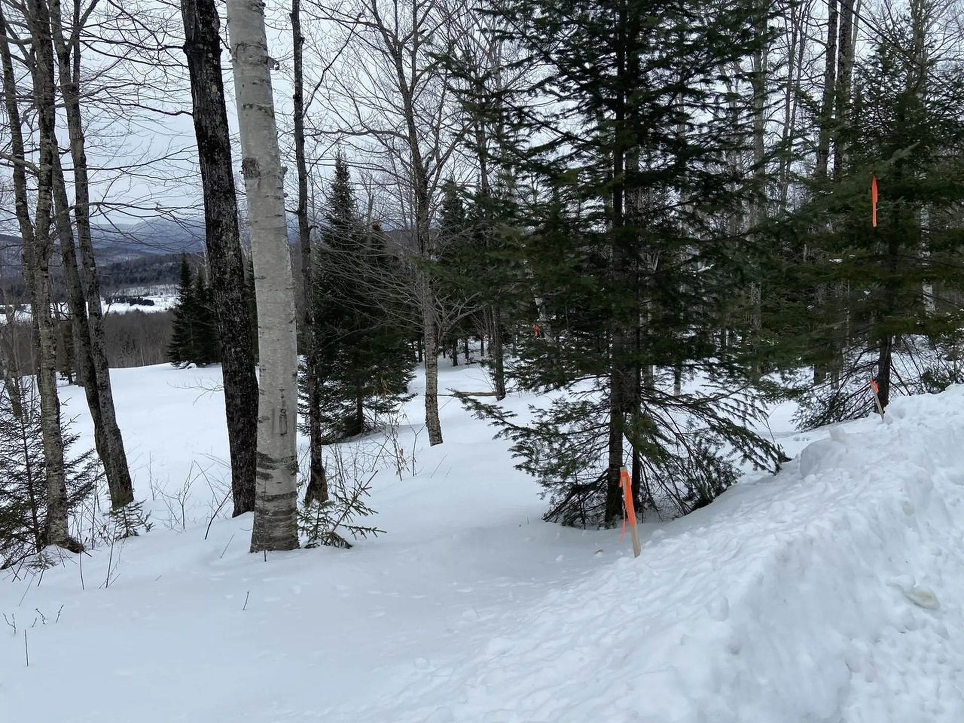 48 Alberts Lane Warren VT 05674