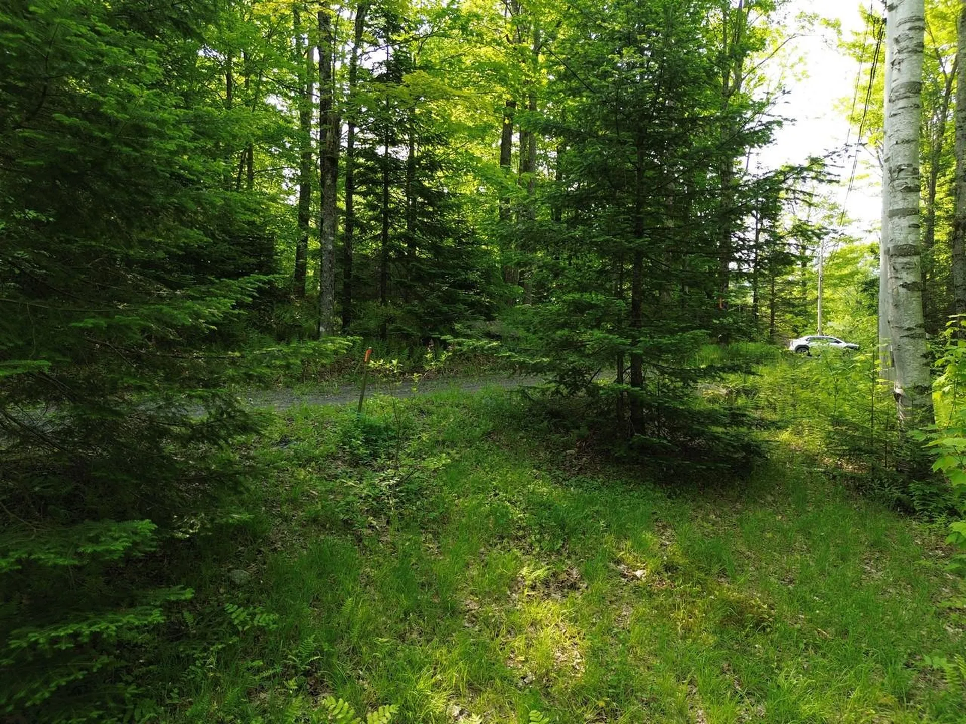 48 Alberts Lane Warren VT 05674