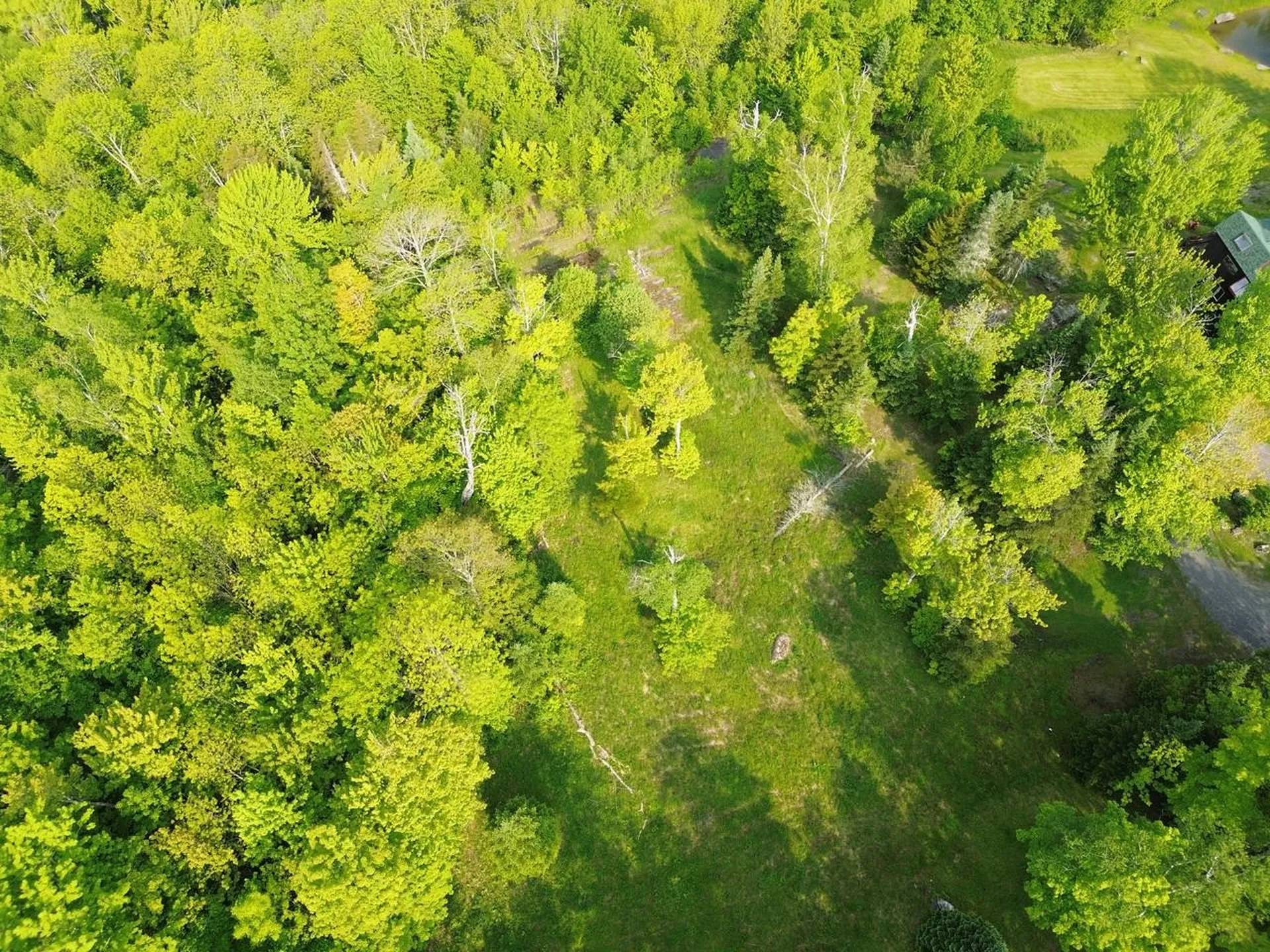 48 Alberts Lane Warren VT 05674