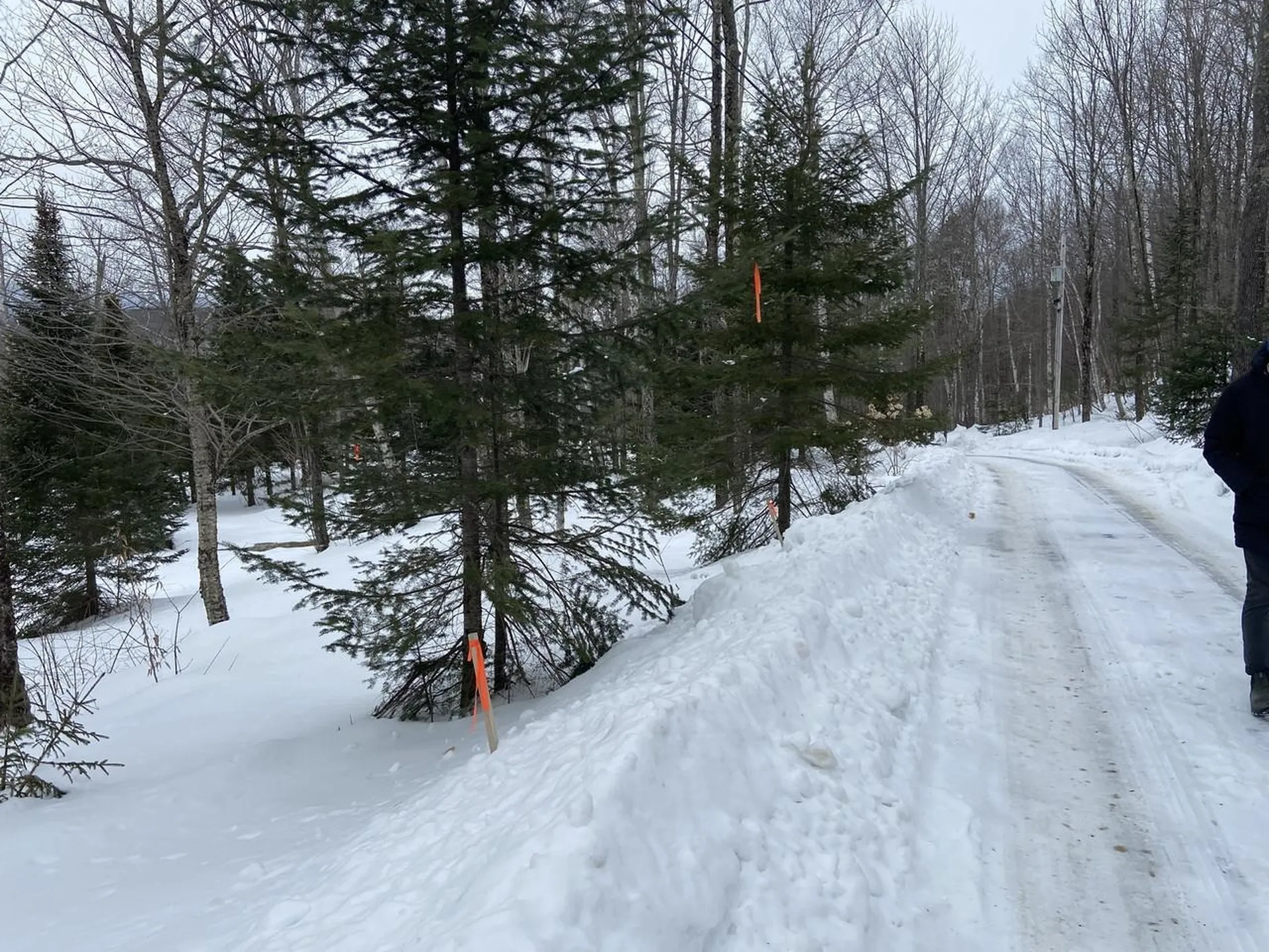 48 Alberts Lane Warren VT 05674