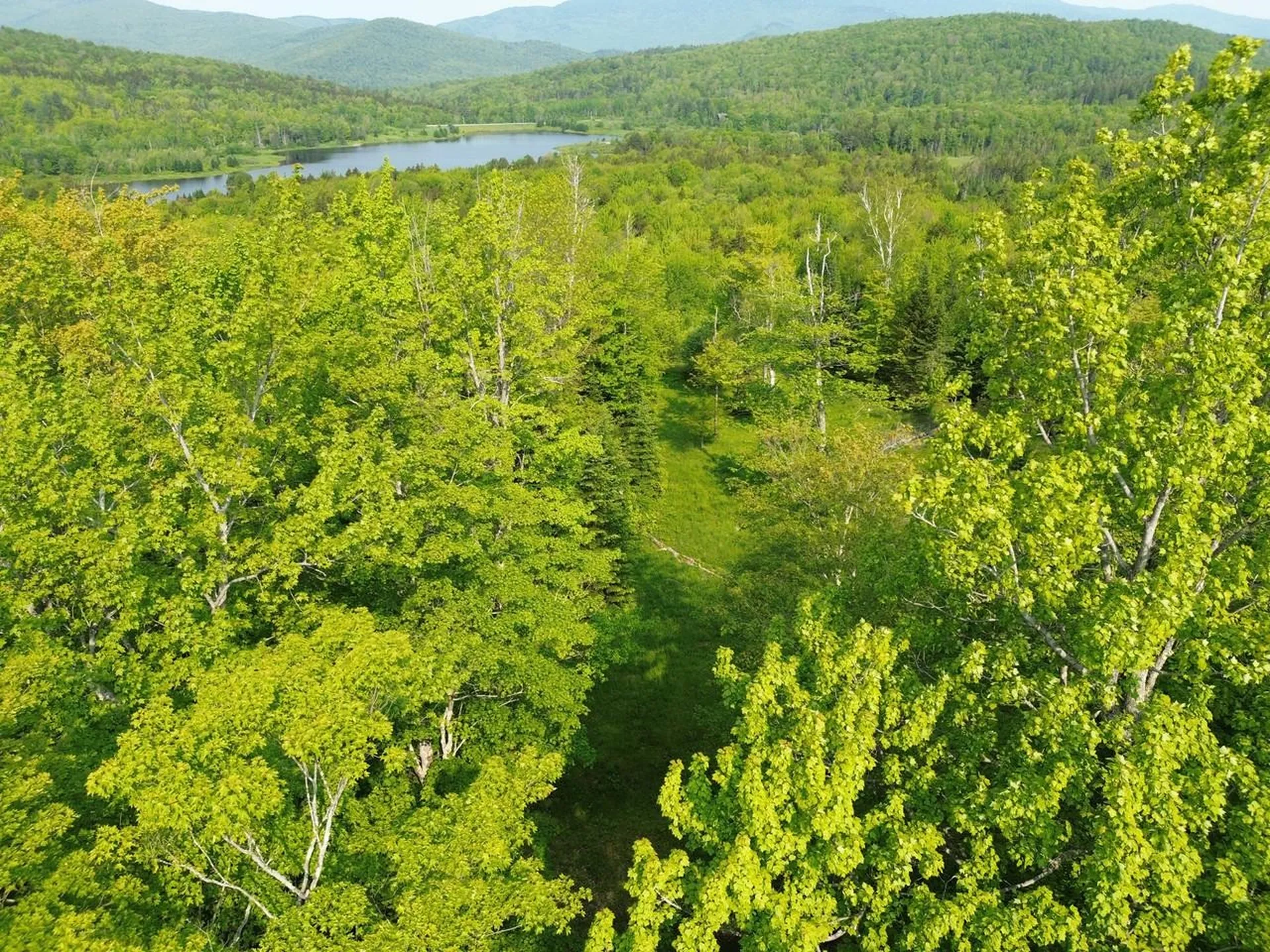 48 Alberts Lane Warren VT 05674