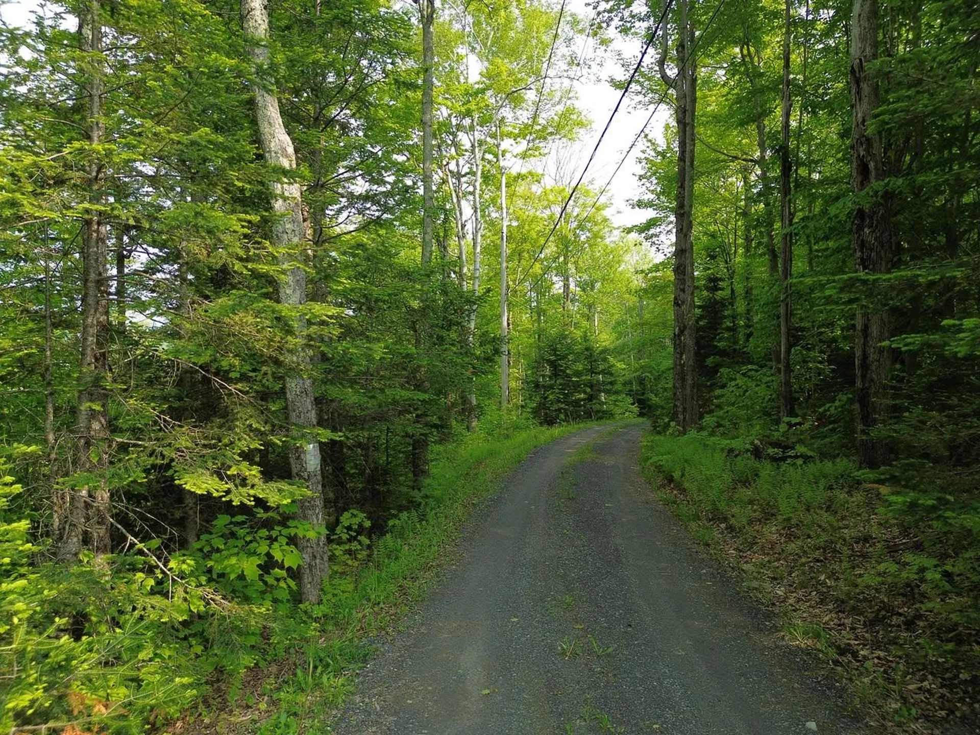 48 Alberts Lane Warren VT 05674
