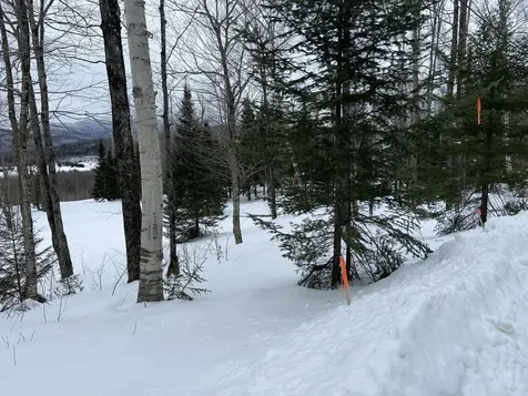 48 Alberts Lane Warren VT 05674