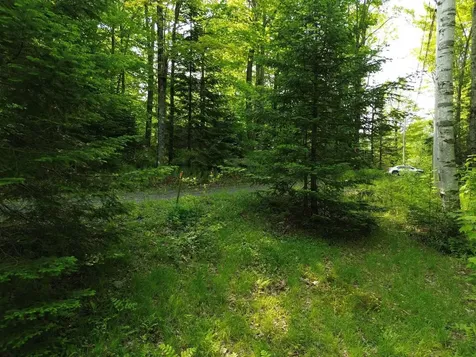 48 Alberts Lane Warren VT 05674