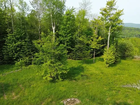 48 Alberts Lane Warren VT 05674