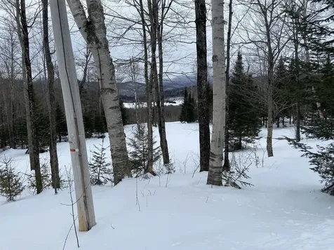 48 Alberts Lane Warren VT 05674