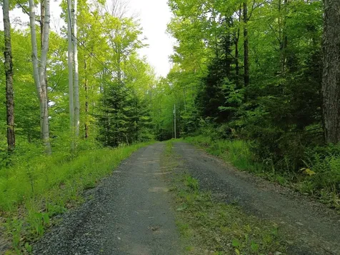 48 Alberts Lane Warren VT 05674