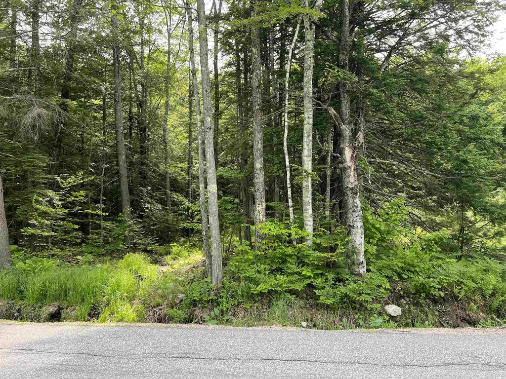470 Tasker Hill Road Madison NH 03818