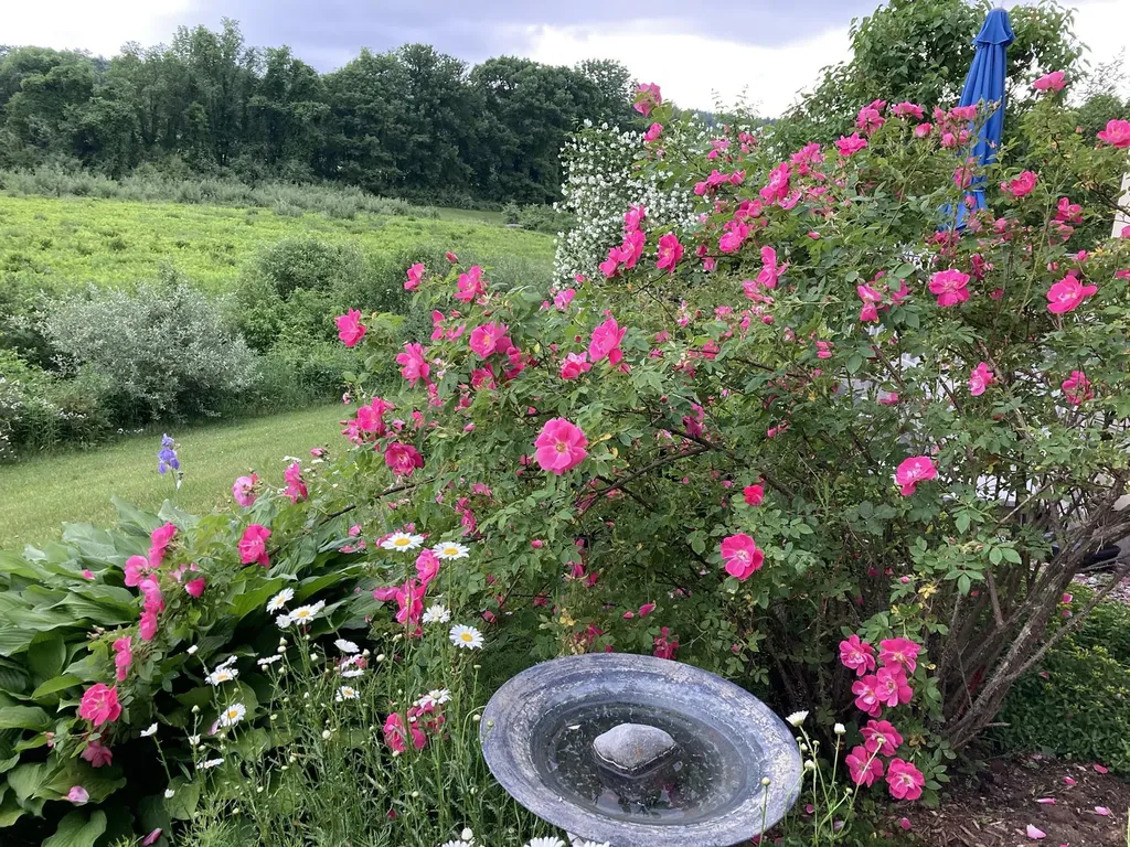 388 Western Avenue Henniker NH 03242