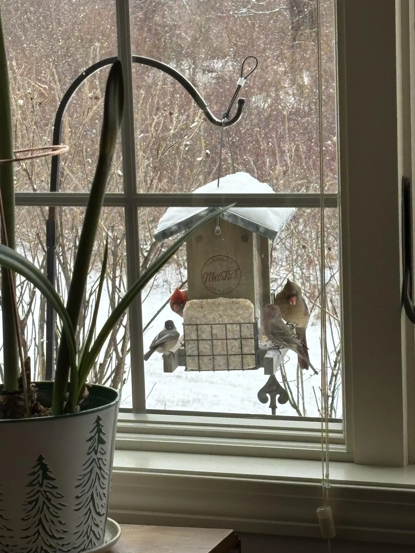 388 Western Avenue Henniker NH 03242