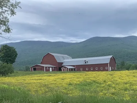 846 Weeks Hill Road Stowe VT 05672