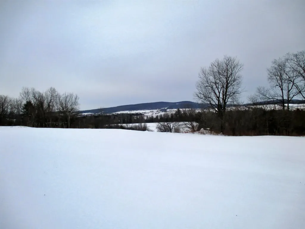 1308 Number 12 Road Newport Town VT 05857