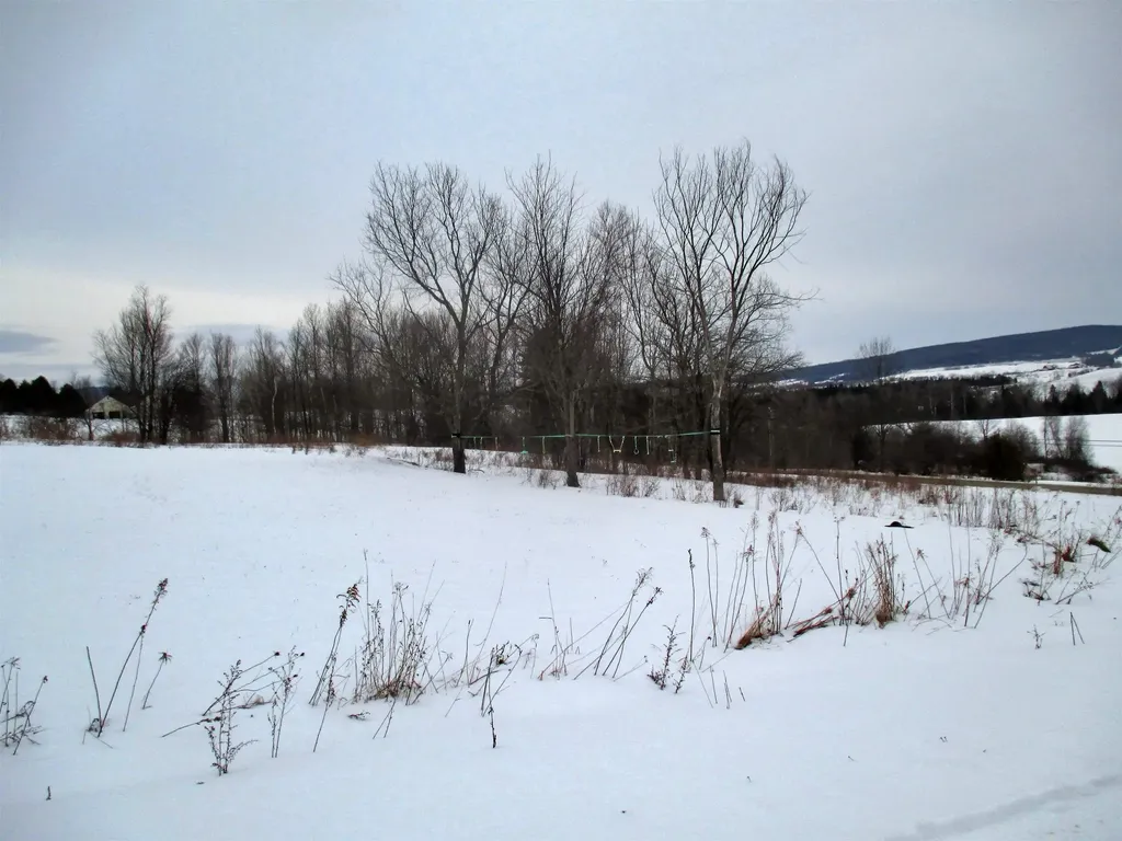 1308 Number 12 Road Newport Town VT 05857