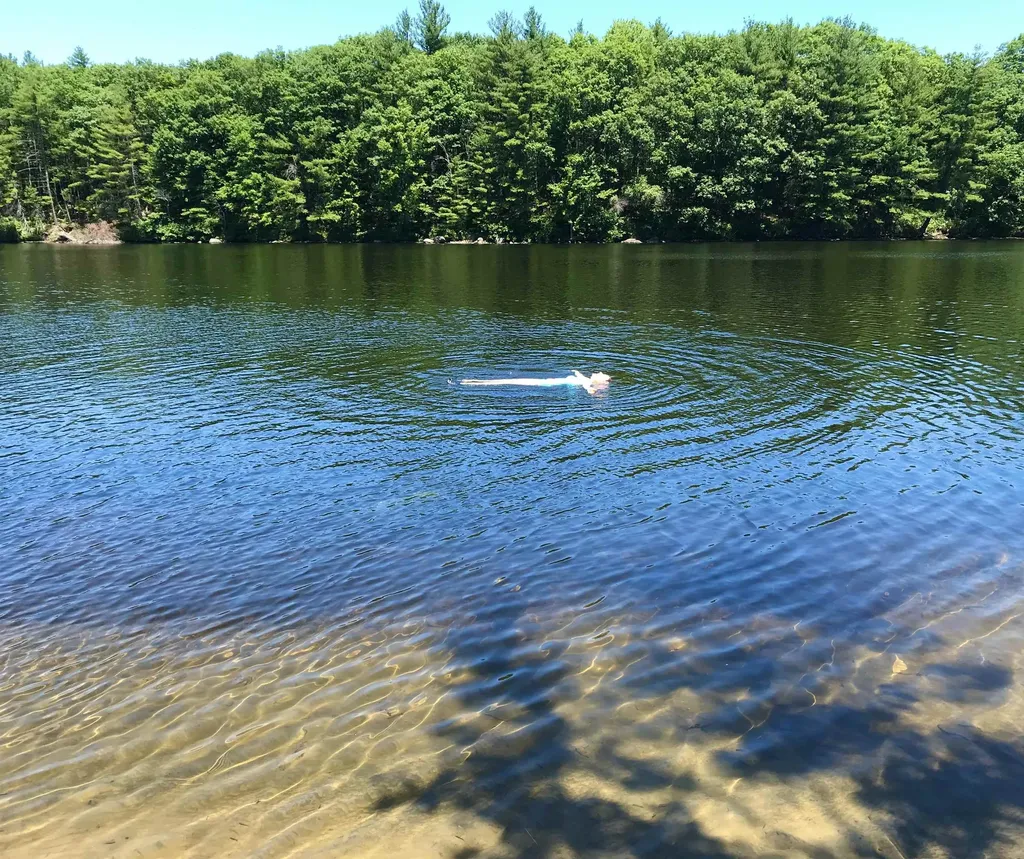 13 Ferry Road Bow NH 03304