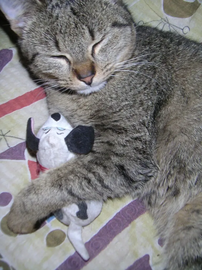 53 Walker Street Manchester NH 03102