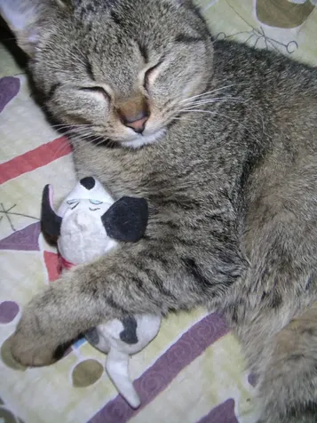 53 Walker Street Manchester NH 03102