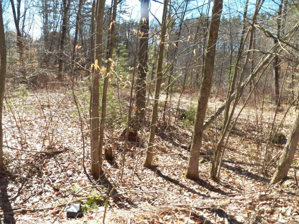 15 Sunrise Place Hillsborough NH 03244