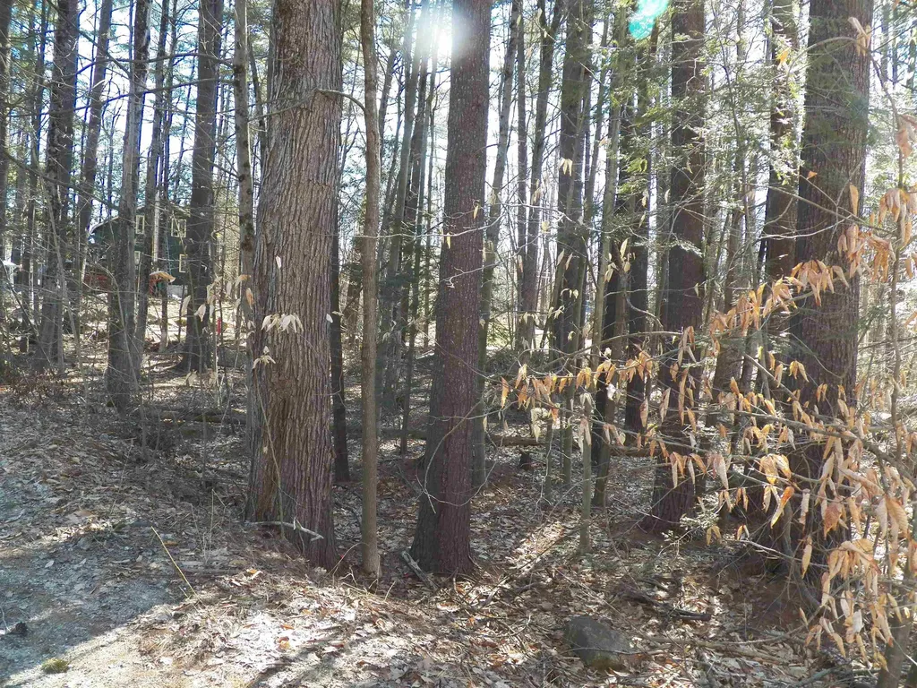 15 Sunrise Place Hillsborough NH 03244