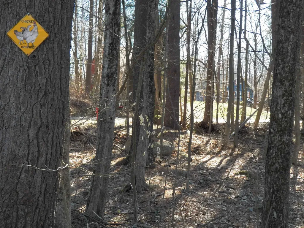 15 Sunrise Place Hillsborough NH 03244