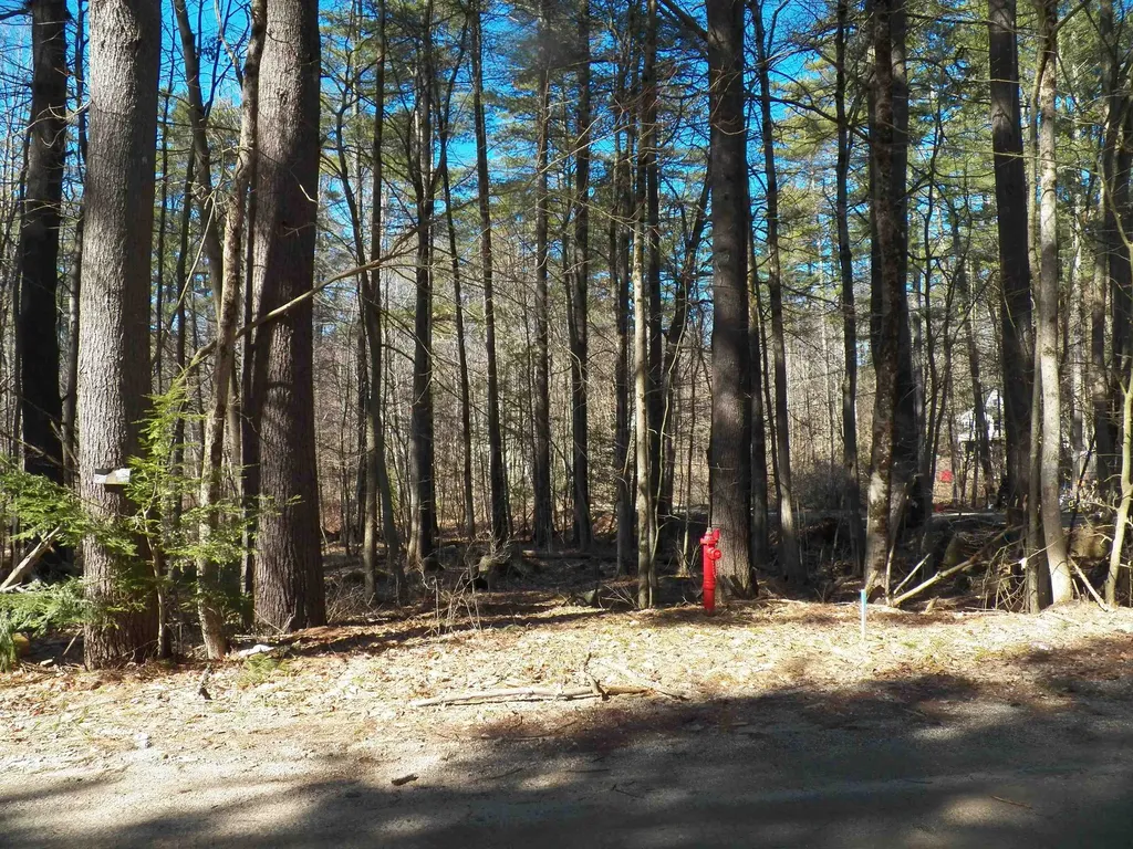 15 Sunrise Place Hillsborough NH 03244