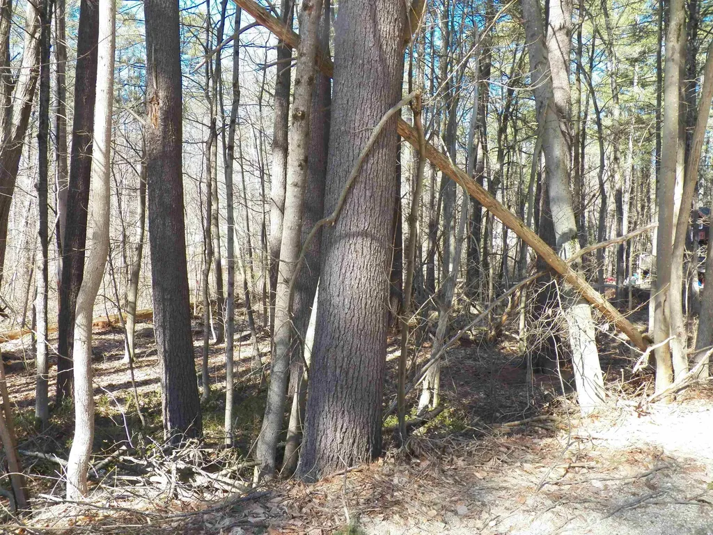 15 Sunrise Place Hillsborough NH 03244