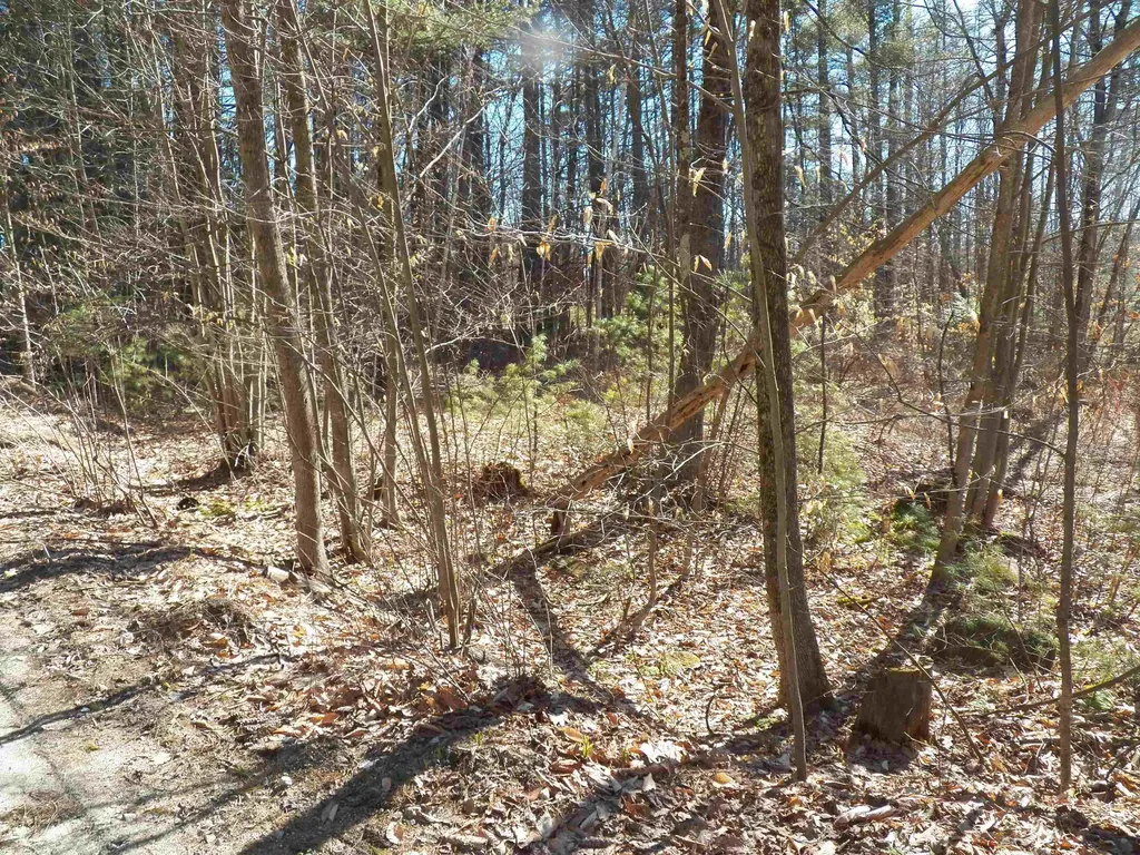 15 Sunrise Place Hillsborough NH 03244