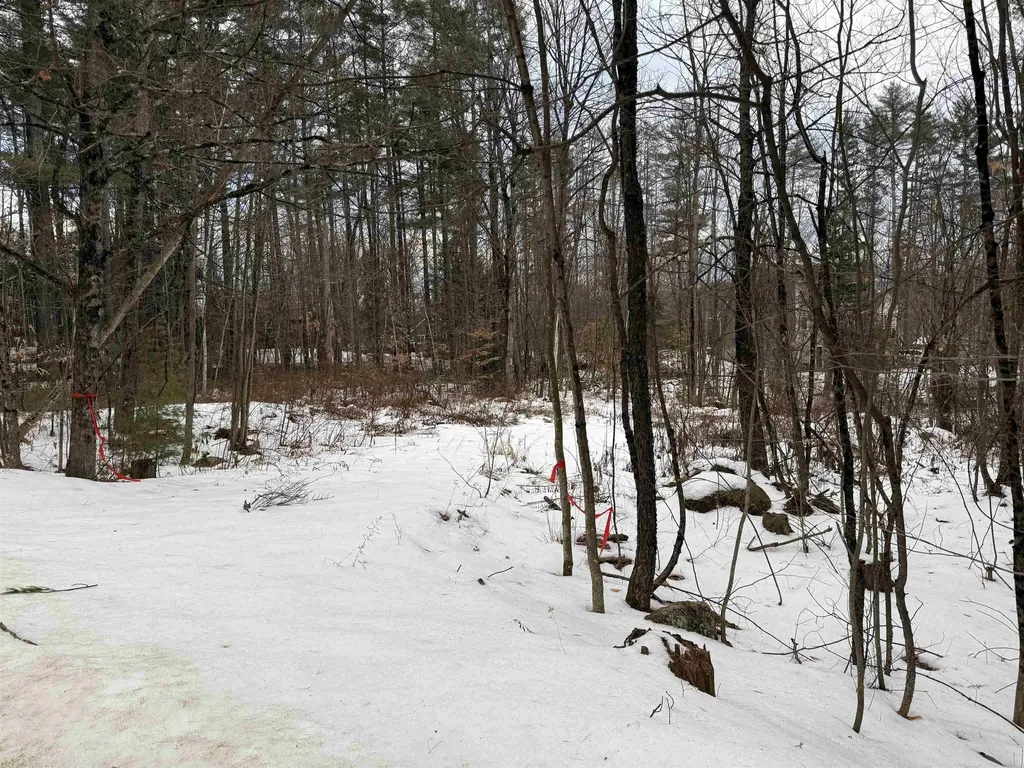 15 Sunrise Place Hillsborough NH 03244