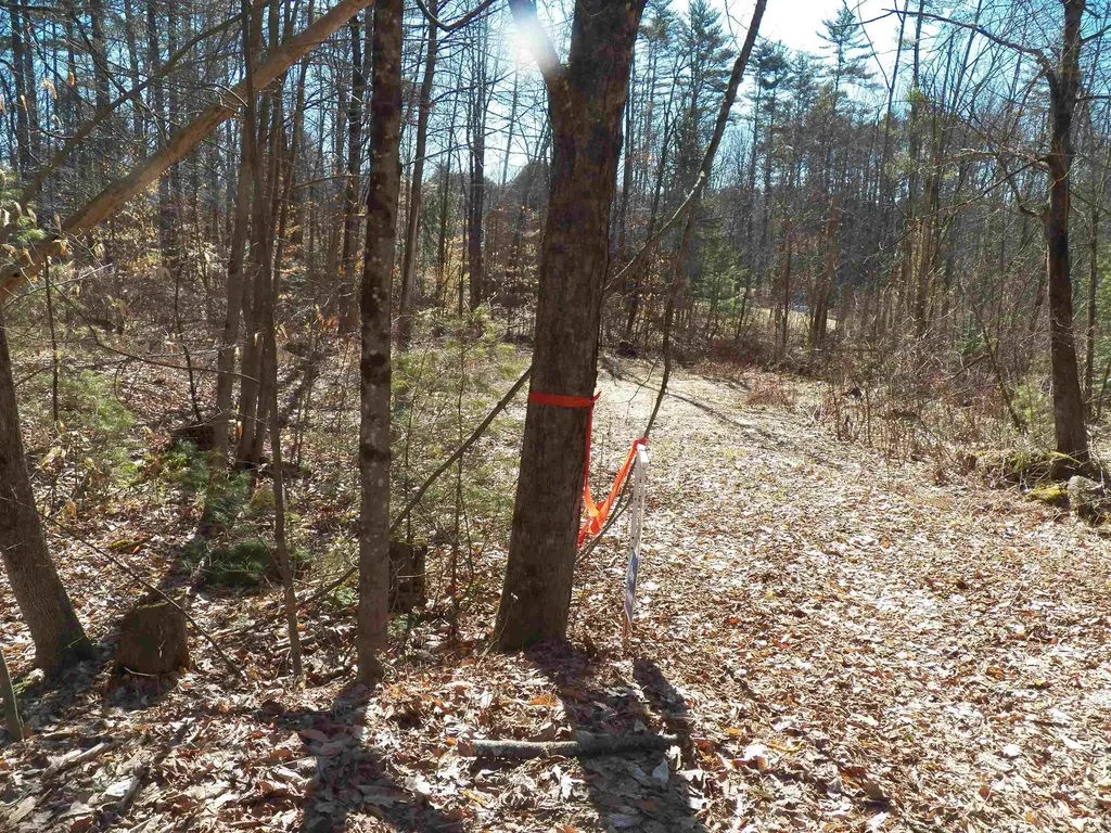 15 Sunrise Place Hillsborough NH 03244