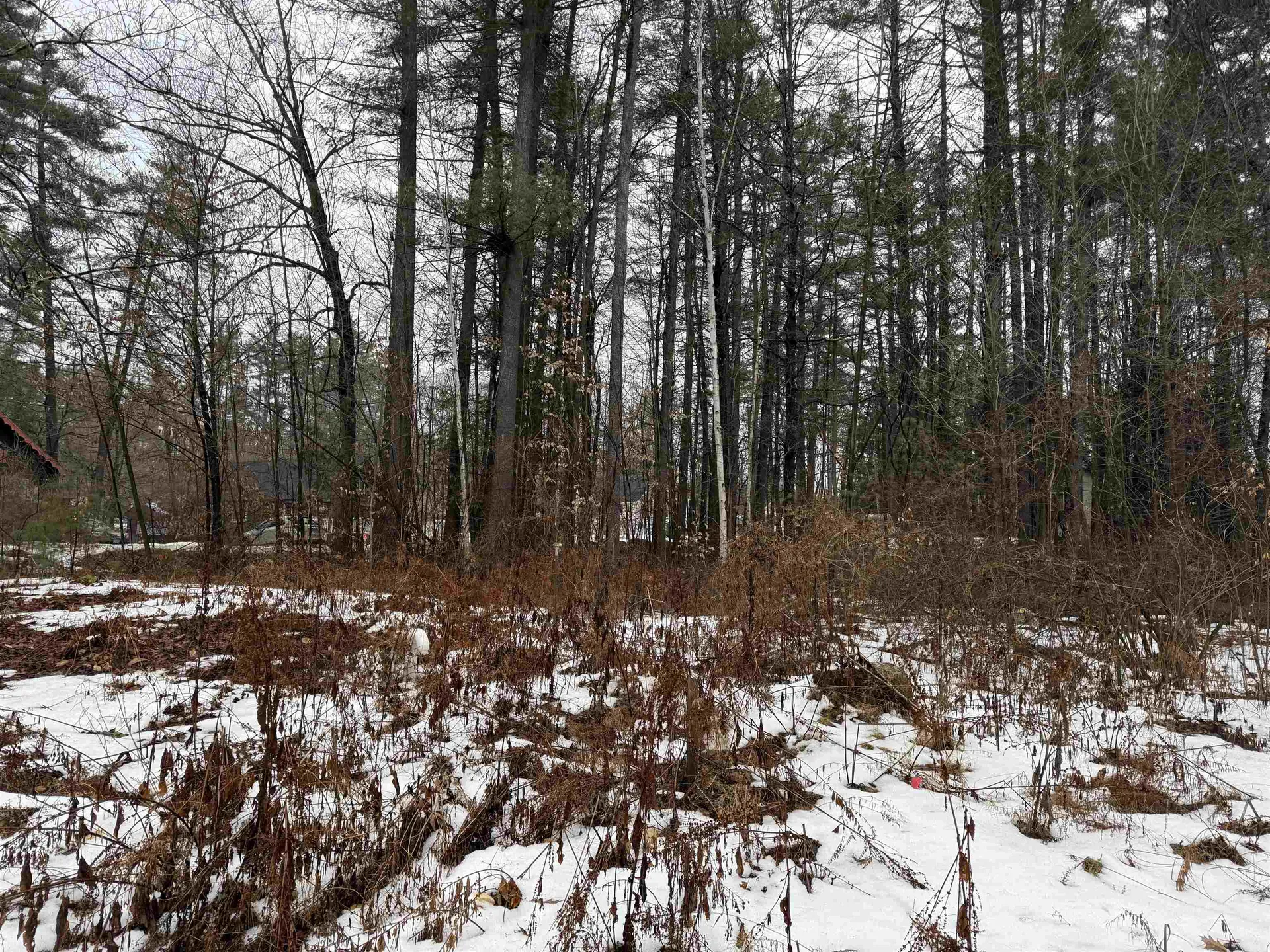 15 Sunrise Place Hillsborough NH 03244