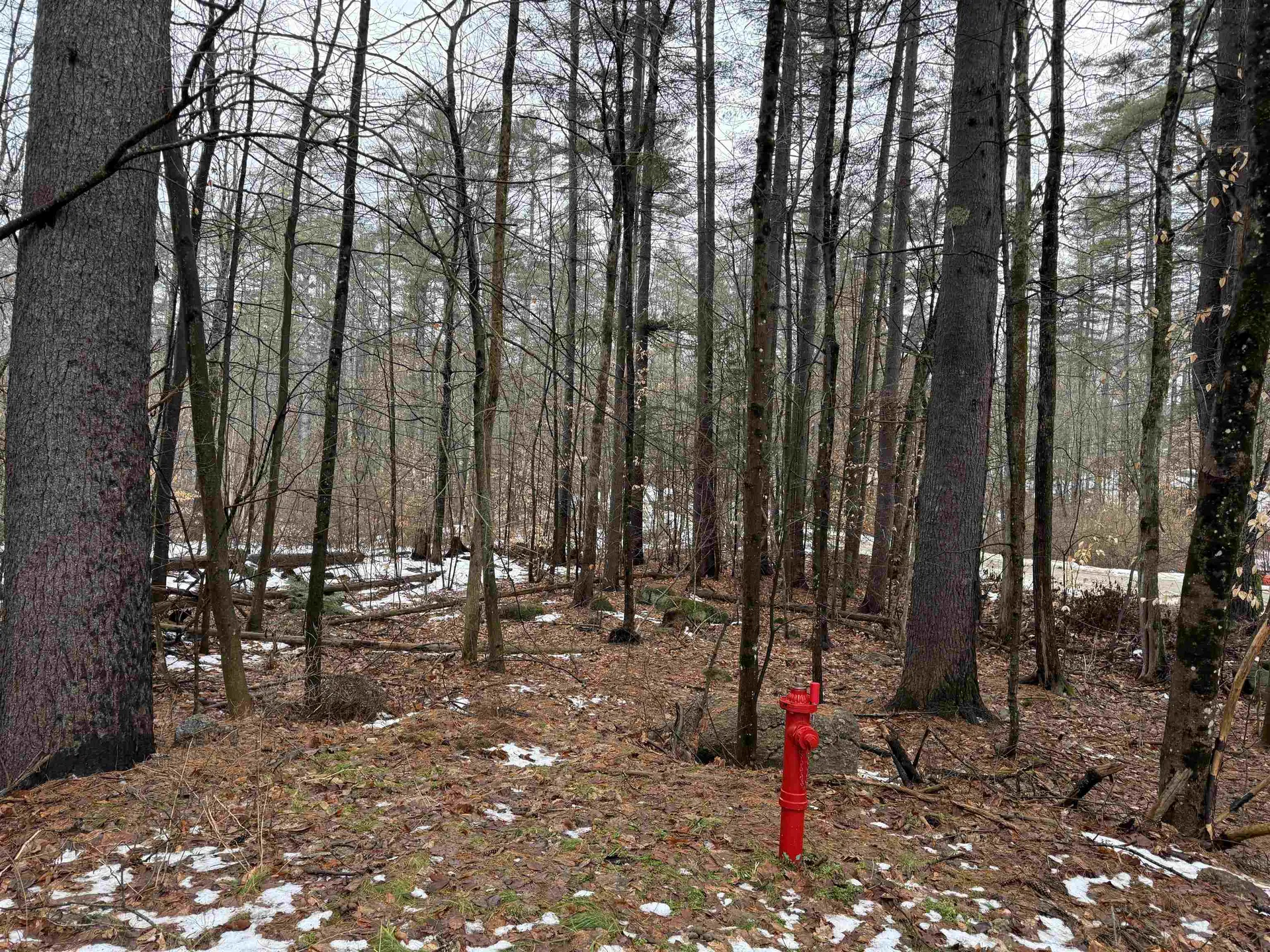 15 Sunrise Place Hillsborough NH 03244