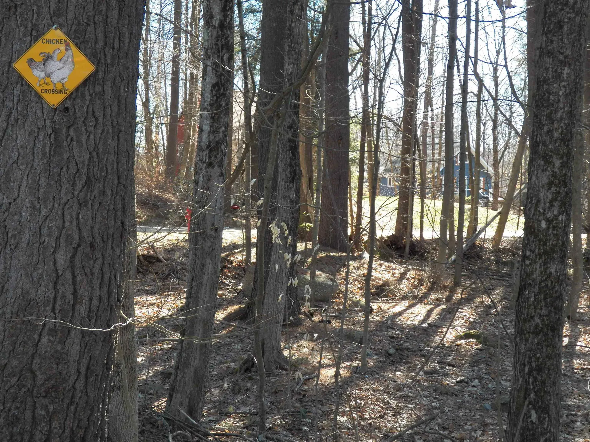 15 Sunrise Place Hillsborough NH 03244