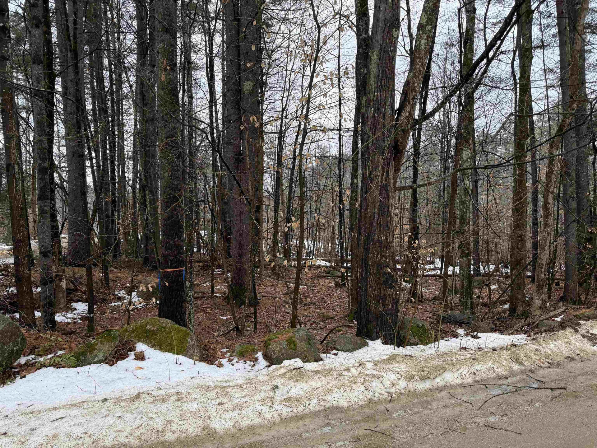 15 Sunrise Place Hillsborough NH 03244