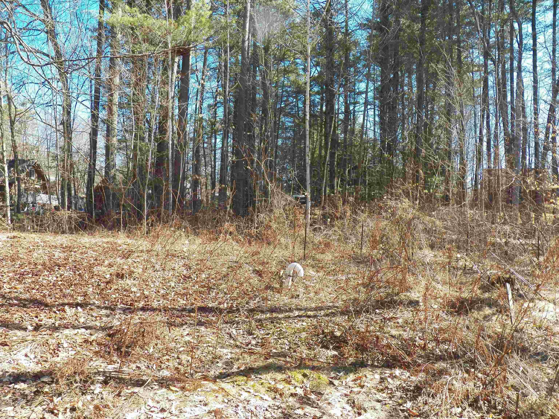 15 Sunrise Place Hillsborough NH 03244