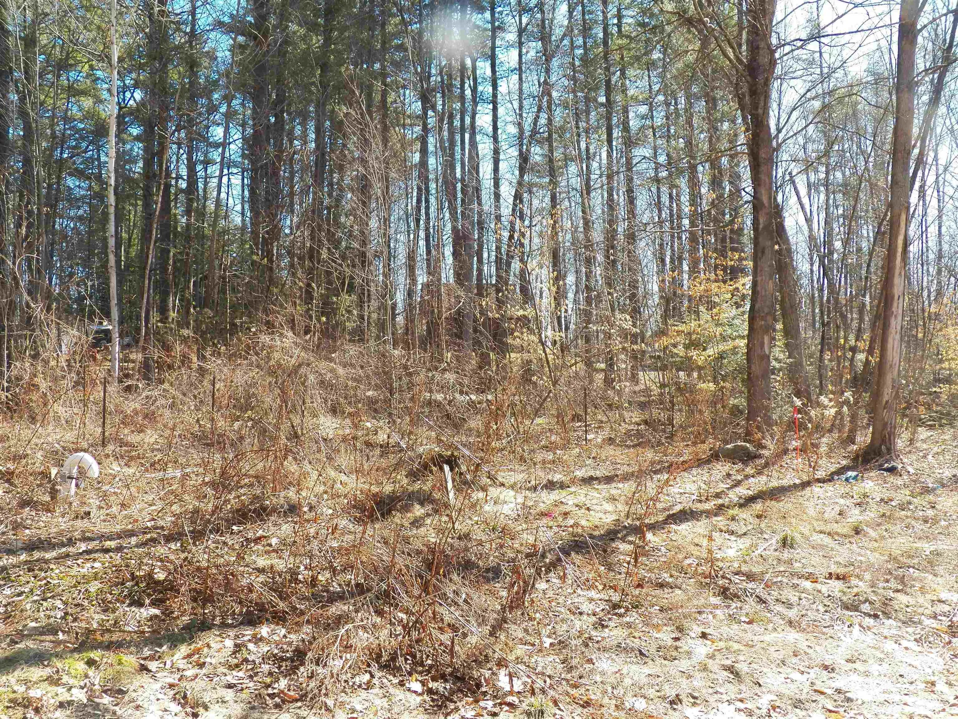 15 Sunrise Place Hillsborough NH 03244