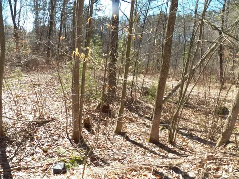 15 Sunrise Place Hillsborough NH 03244