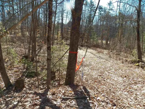 15 Sunrise Place Hillsborough NH 03244