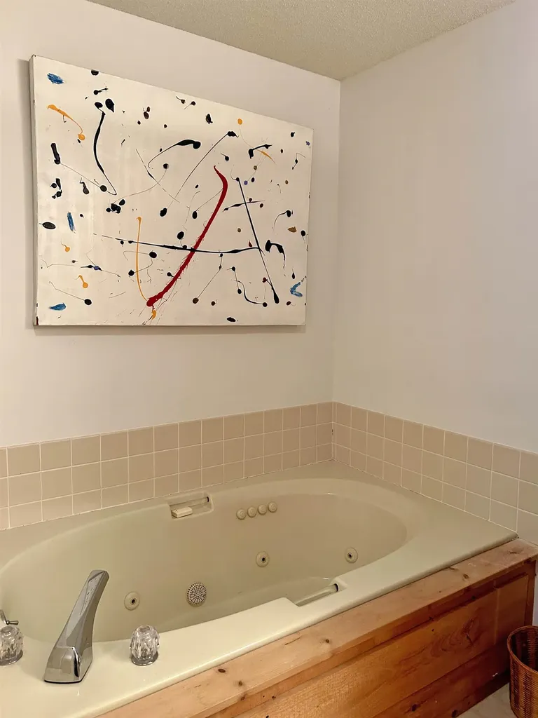 69 Colonial Ridge Road Dover VT 05356