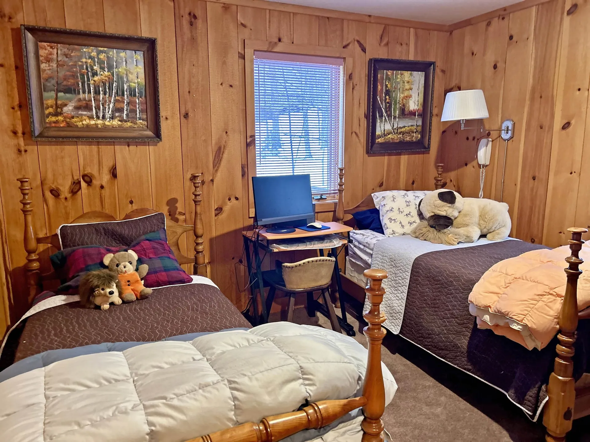 69 Colonial Ridge Road Dover VT 05356