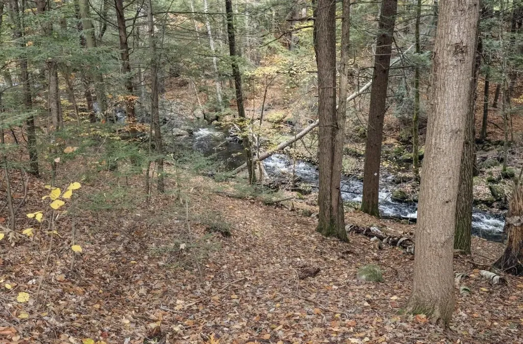 6 Birch Tree Lane Hillsborough NH 03244