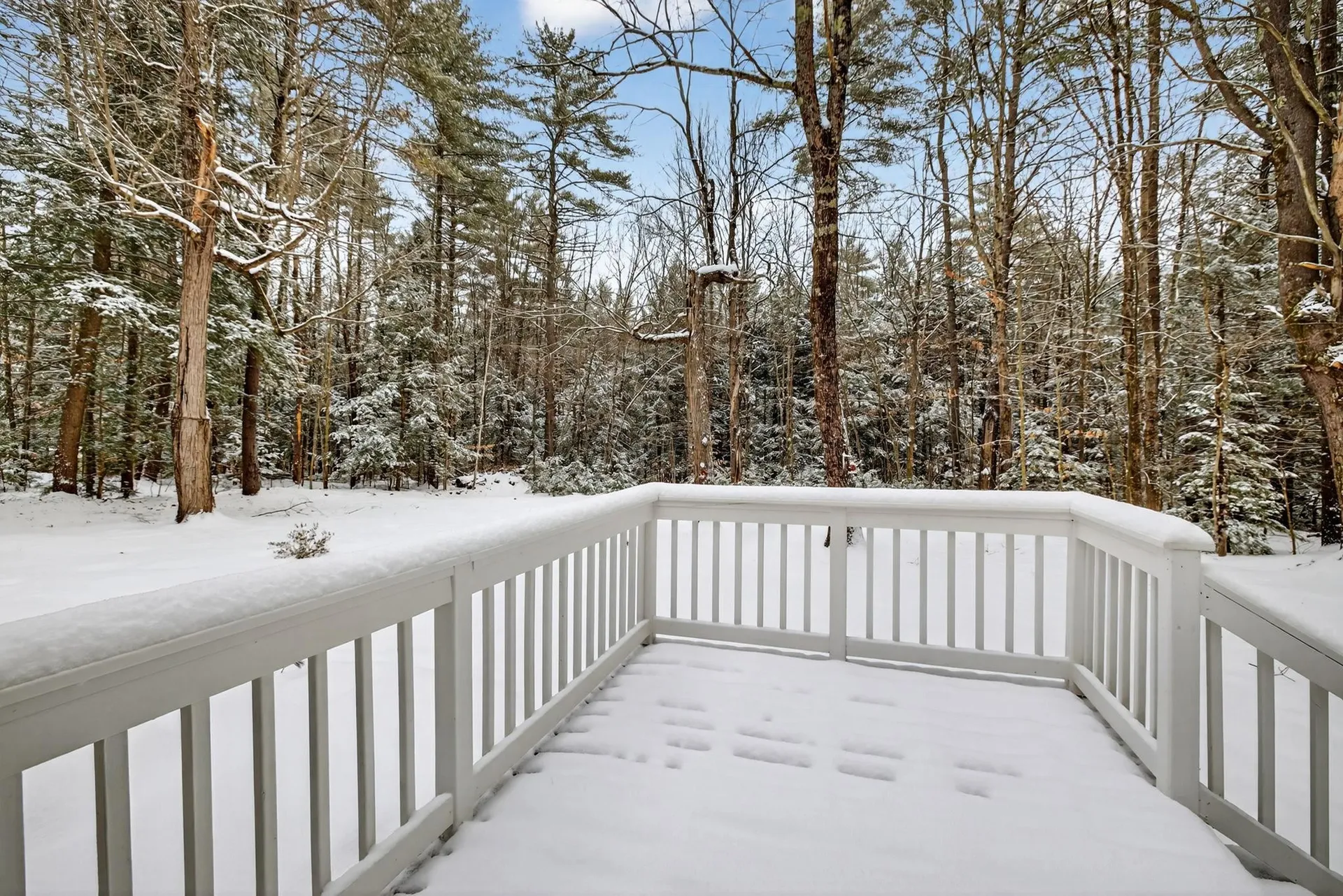 6 Birch Tree Lane Hillsborough NH 03244