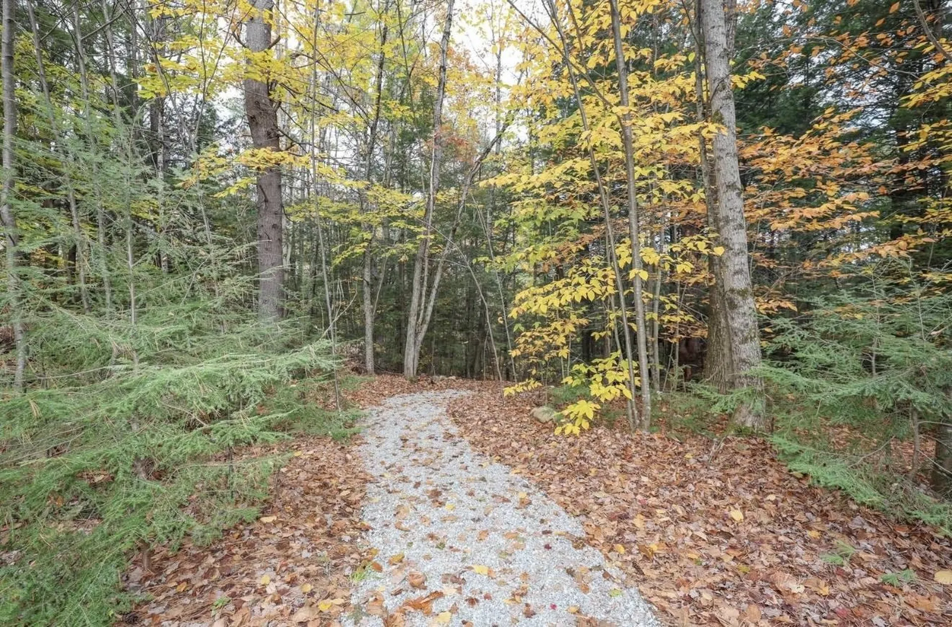 6 Birch Tree Lane Hillsborough NH 03244