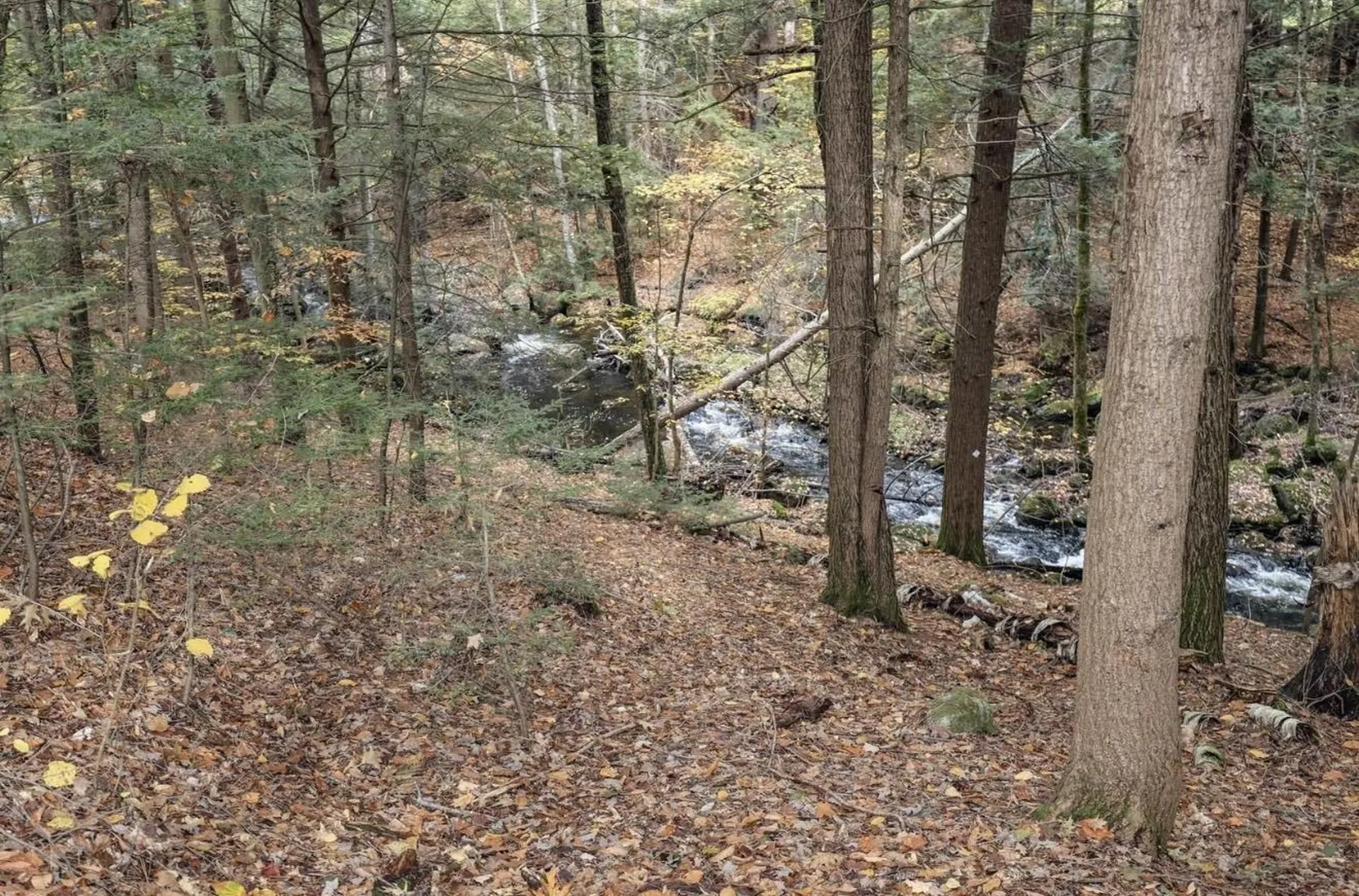 6 Birch Tree Lane Hillsborough NH 03244