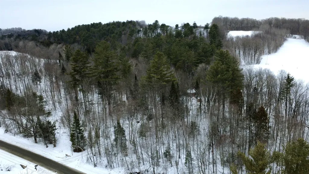 438 Old Bradley Road St. Johnsbury VT 05819