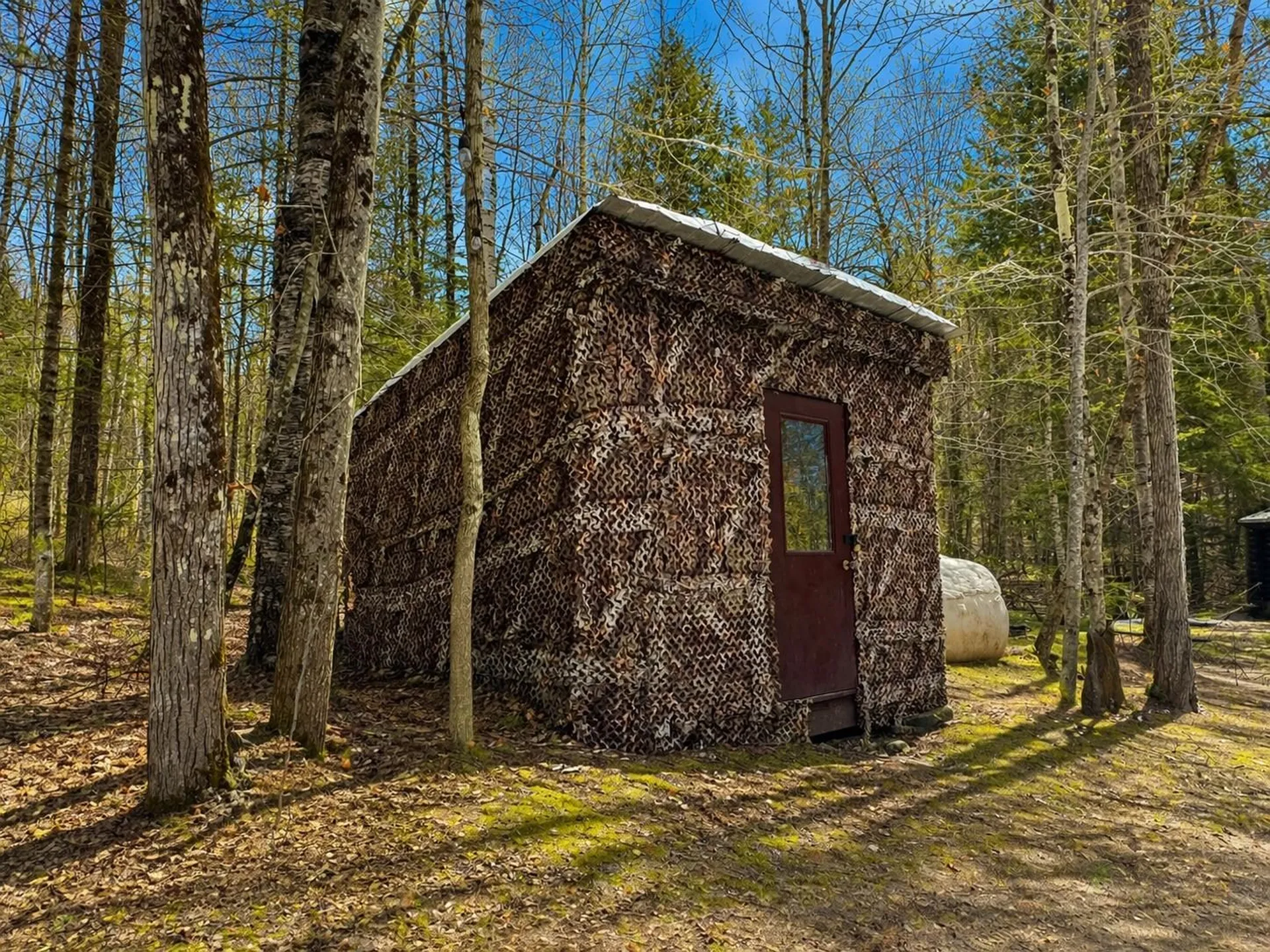 438 Old Bradley Road St. Johnsbury VT 05819