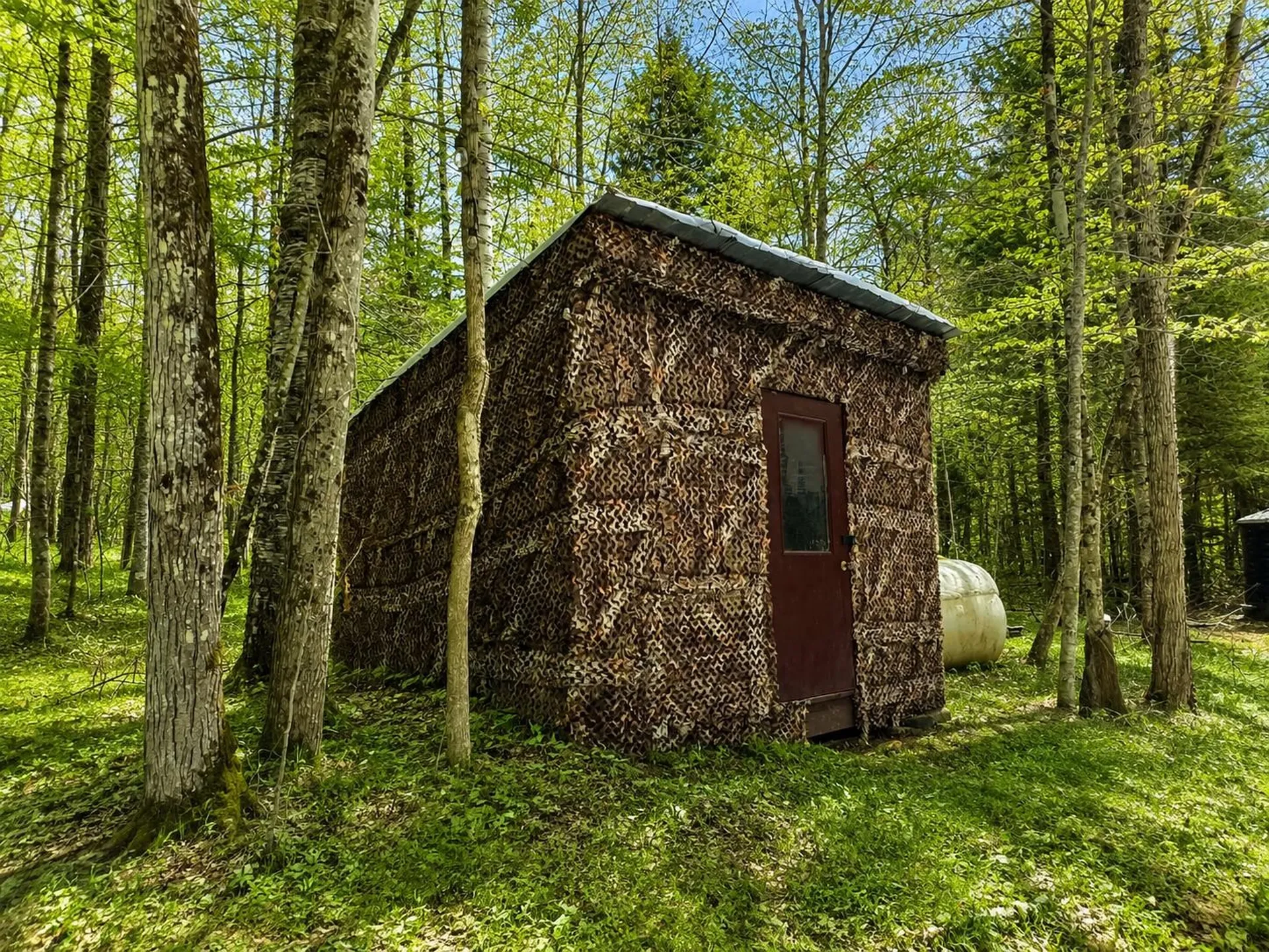 438 Old Bradley Road St. Johnsbury VT 05819