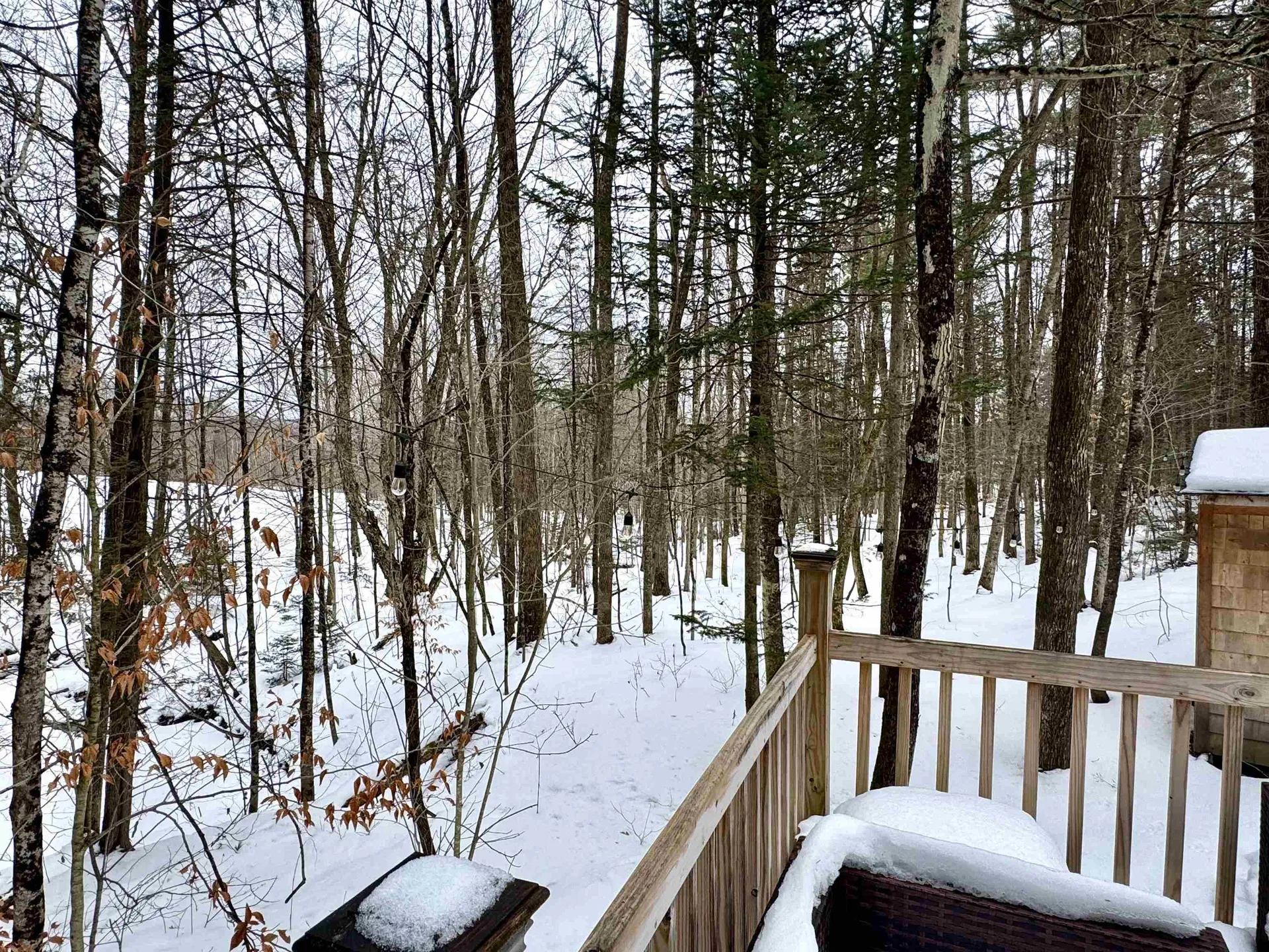 438 Old Bradley Road St. Johnsbury VT 05819