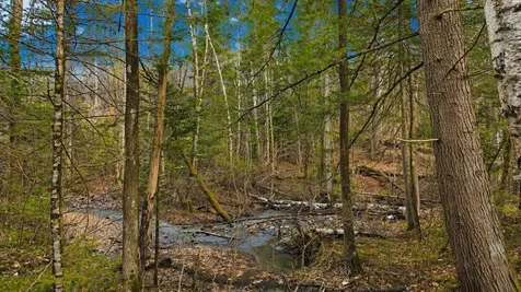 438 Old Bradley Road St. Johnsbury VT 05819