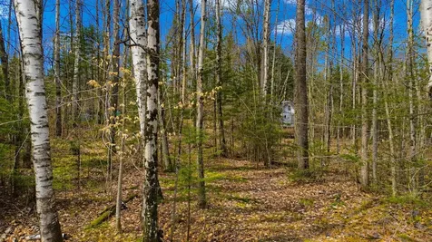 438 Old Bradley Road St. Johnsbury VT 05819