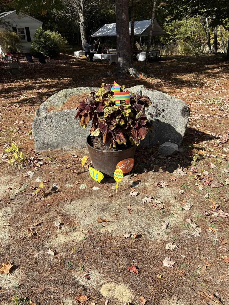 7 Kenyann Drive Wolfeboro NH 03894