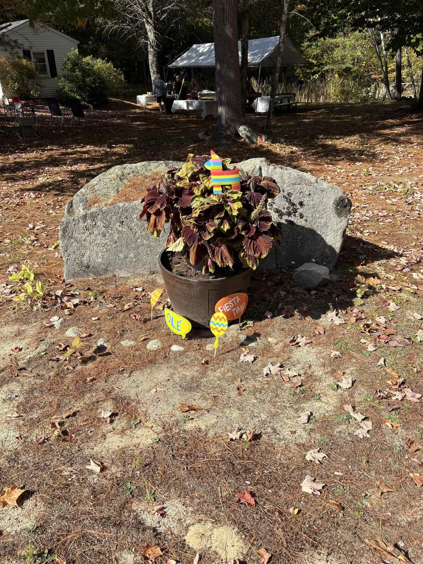 7 Kenyann Drive Wolfeboro NH 03894